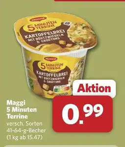 Combi Maggi 5 minuten terrine Angebot