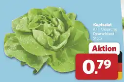 Combi Kopfsalat Angebot