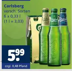 Getränkewelt Carlsberg bier Angebot