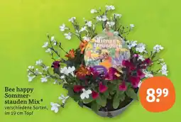 tegut Bee happy sommerstauden mix Angebot