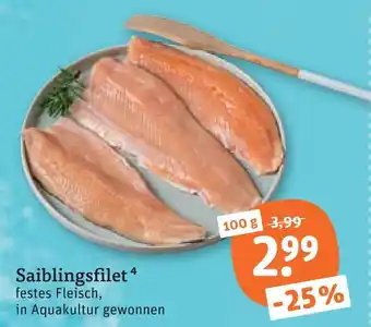 tegut Saiblingsfilet Angebot