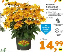 Globus Baumarkt Garten-sonnenhut Angebot