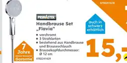 Globus Baumarkt Primaster handbrause set „flavia“ Angebot