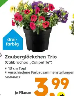 Globus Baumarkt Zauberglöckchen trio Angebot