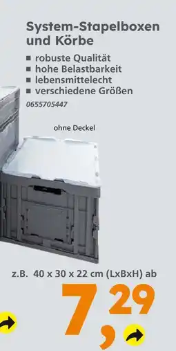 Globus Baumarkt System-stapelboxen und körbe Angebot
