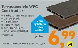 Globus Baumarkt Terrassendiele wpc coextrudiert braun Angebot