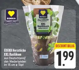 E-Center Edeka herzstücke xxl basilikum Angebot