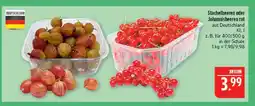 Marktkauf Stachelbeeren Angebot
