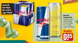 REWE Red Bull Energy Drink Angebot