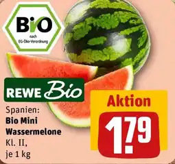 REWE REWE Bio Mini Wassermelone Angebot
