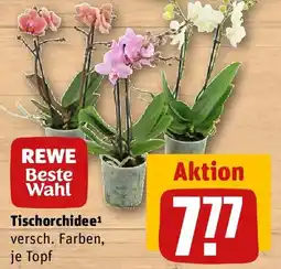 REWE REWE Beste Wahl Tischorchidee Angebot