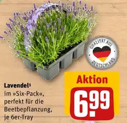 REWE Lavendel Angebot