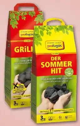 REWE Profagus Holzkohle oder Briketts Angebot