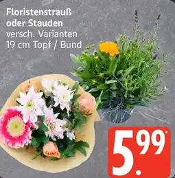 Edeka Floristenstrauß oder Stauden Angebot