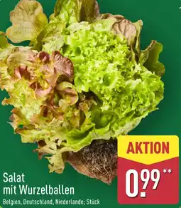 Aldi Nord Salat mit Wurzelballen Angebot