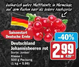 HIT Deutschland Johannisbeeren rot Angebot
