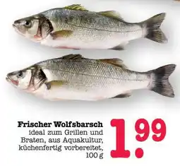 Scheck-in-Center Frischer Wolfsbarsch Angebot