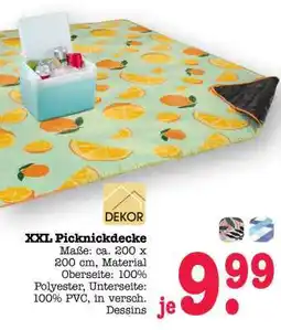 Scheck-in-Center XXL-Picknickdecke Angebot
