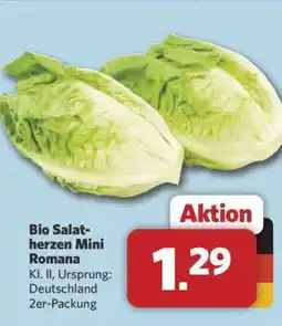 Combi Bio Salatherzen Mini Romana Angebot