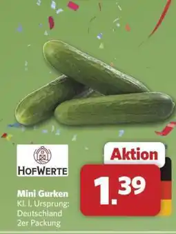 Combi Mini-Gurken Angebot