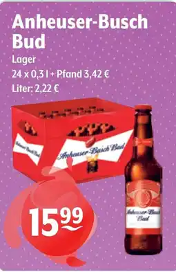 Getränke Hoffmann Anheuser-Busch Bud Lager Angebot