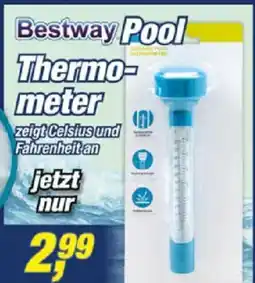 Posten Börse Bestway Pool Thermometer Angebot