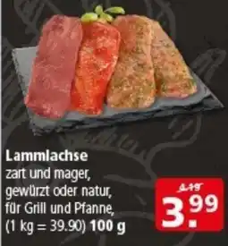Multi Markt Lammlachse Angebot