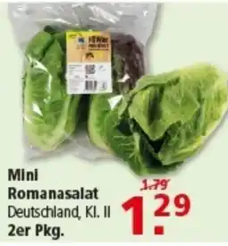 Multi Markt Mini Romanasalat Angebot