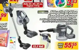 Posten Börse HOME LINE Akku 2in1 Zyklon Handstaubsauger Angebot