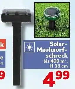 CENTERSHOP Solar Maulwurfschreck Angebot
