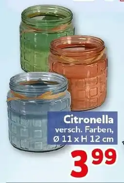 CENTERSHOP Citronella Angebot