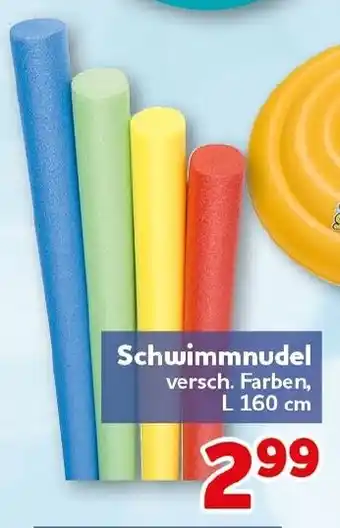 CENTERSHOP Schwimmnudel Angebot