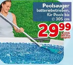 CENTERSHOP Poolsauger Angebot