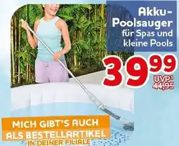 CENTERSHOP Akku Poolsauger Angebot