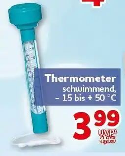 CENTERSHOP Thermometer Angebot