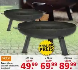 Multi Markt Siena Feuerschale Angebot