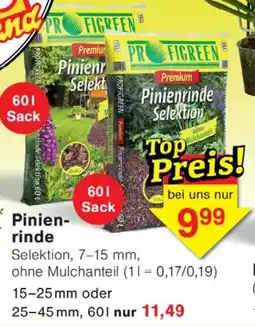 Wiglo Wunderland Pinienrinde Angebot