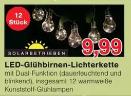 Wiglo Wunderland LED-Glühbirnen-Lichterkette Angebot