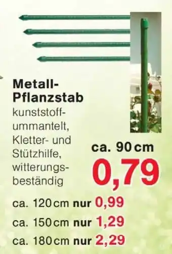 Wiglo Wunderland Metall Pflanzstab Angebot