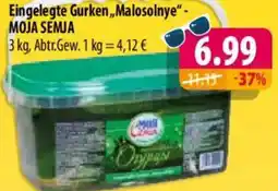 Mix Markt Eingelegte Gurken ,,Malosolnye" MOJA SEMJA Angebot