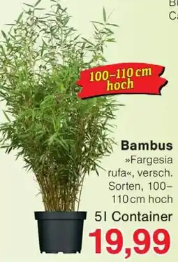 Wiglo Wunderland Bambus Angebot