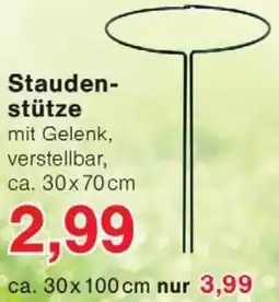 Wiglo Wunderland Staudenstütze Angebot