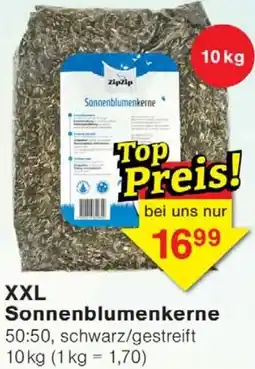 Wiglo Wunderland XXL Sonnenblumenkerne Angebot