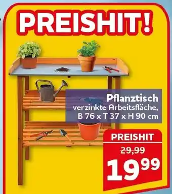 CENTERSHOP Pflanztisch Angebot