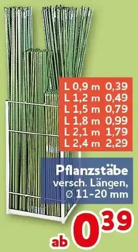 CENTERSHOP Pflanzstäbe Angebot