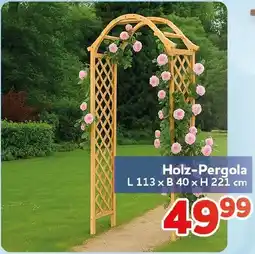 CENTERSHOP Holz-Pergola Angebot