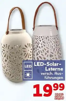 CENTERSHOP LED-Solar Laterne Angebot