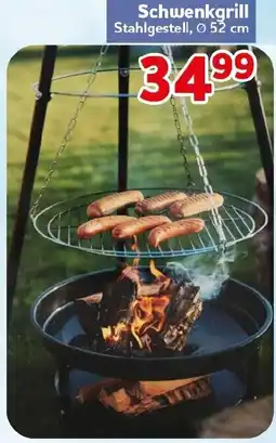 CENTERSHOP Schwenkgrill Angebot