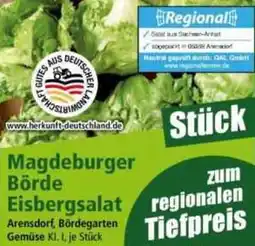 Norma Magdeburger Börde Eisbergsalat Angebot
