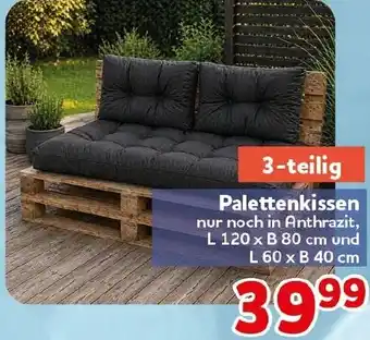 CENTERSHOP Palettenkissen Angebot